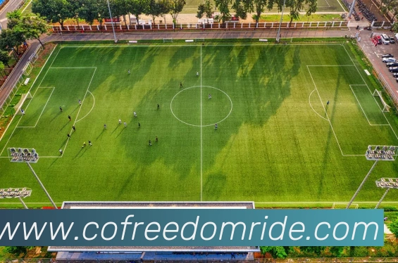 互动解说服务